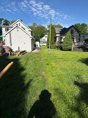 Fence Removal
