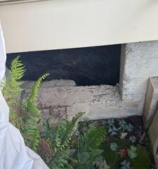 Exposed Entry