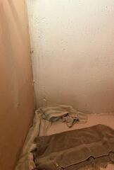 Wall Seepage