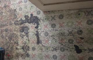 Renovation Safety First: Asbestos Inspection & Estimates for Historic Outbuildings In Mingoville PA