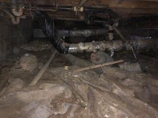 Crawl Space Encapsulation and Moisture Control in New Palestine, IN