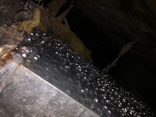 Visible Moisture Issues in Crawl Space