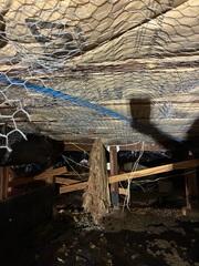 Existing Crawl Space Support Conditions in Dana Point