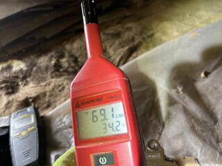Humidity Reading