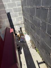 There were several piles of garbage around the dumpster area, which was attracting the rats to the area. While inspecting the property, we found multiple rat burrows.