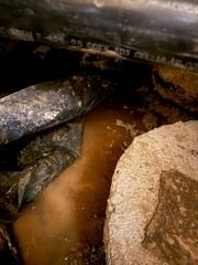 Flooded Crawl Space