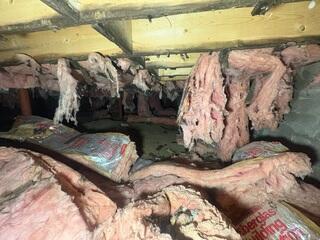 Damp Crawl Space