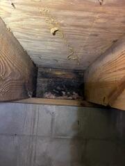 Moisture intrusion has caused severe wood rot and dark mold growth along the band joist and subfloor above a concrete block foundation wall.