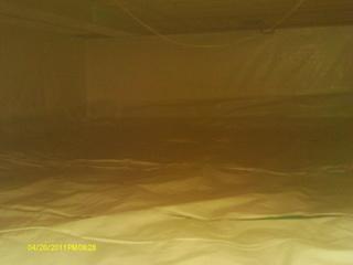 CleanSpace 