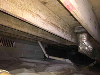 Mold in crawl space