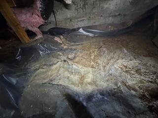 Filthy Crawl Space