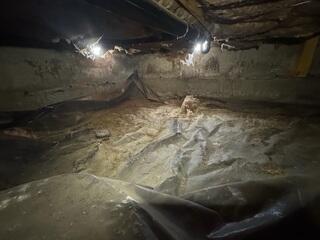 Hanging and Fallen Insulation