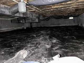 Before Photo