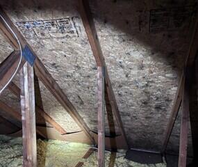 Old, Moldy Attic