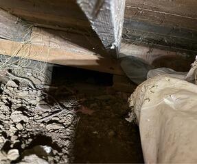 Exposed Dirt Floors