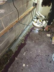 WaterGuard and TripleSafe Installation
