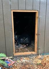 Exposed Access Way
