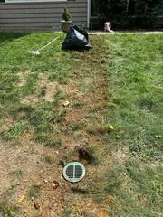 Discharge Line