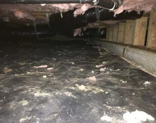 Humid Crawl Space