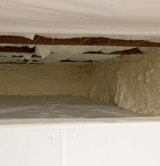 SprayFoam