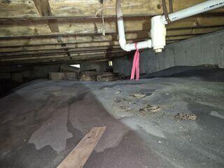 Damp Crawl Space