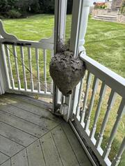 Family Can't Enjoy the Yard