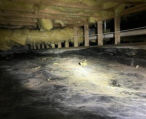 Dirty Crawl Space