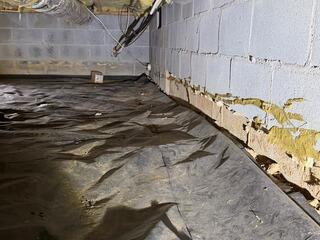 Crawl Space During Inspection