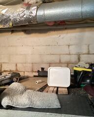 Water-Stained Walls