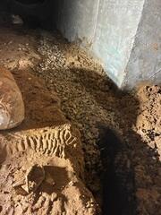 Crawl Space French Drain Installation