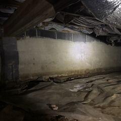 Damp Crawl Space Area
