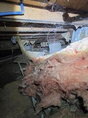 Moisture in the Crawl Space