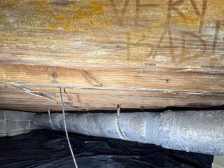 Mold on Wood Floor Joists