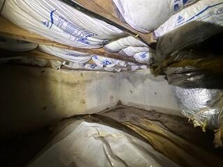 Wet Crawlspace