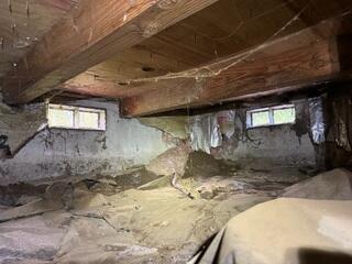 Dirty Crawl Space