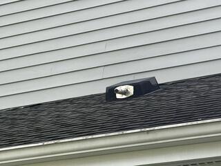 Bat Cone Set Up