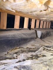 Dirty, Swampy Crawl Space