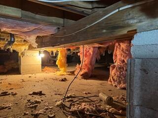 Damp Crawl Space