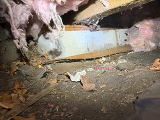 Dirty Crawl Space With Evidence of Water Intrusion