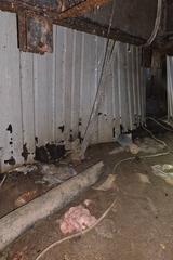 Crawl Space During Inspection