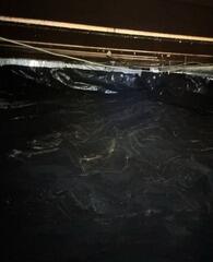 Professional Crawl Space Clean-Up and Waterproofing - Clatskanie, OR