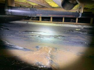 Professional Prevention of Water Damage - Salem, OR