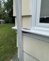 Identifying severe moisture intrusion and rot damage along the exterior window sill and trim.