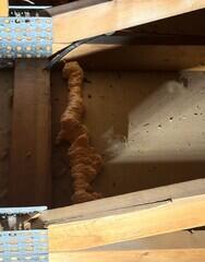 Completely Air Sealed Attic