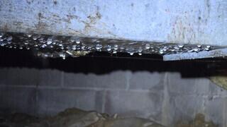 Condensation