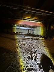 Crawl Space Repair Specialist in Chicago, IL