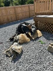 Debris Removed
