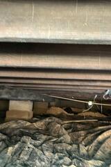 Mold in the Crawl Space