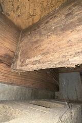 Mold and Wood Rot
