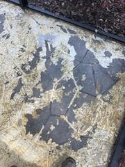 The homeowner needed to have their concrete patio stabilized but was also displeased with the overall appearance of the surface after the LRE team removed the carpet overlay.